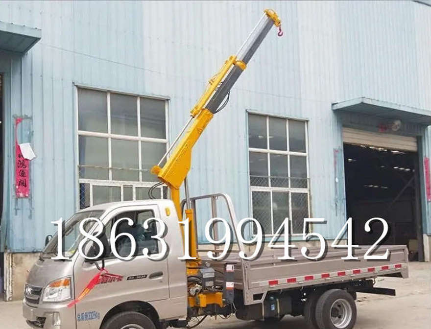 崇左市车载吊机车载吊机装卸货物220v移动吊机包安装家用车包安装移动起重机